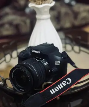 stock