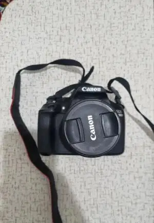 stock