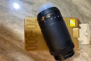 stock