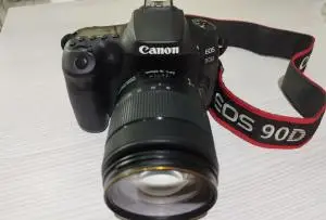 stock