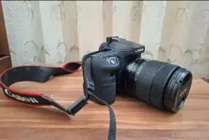 stock