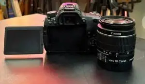 stock