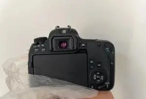 stock