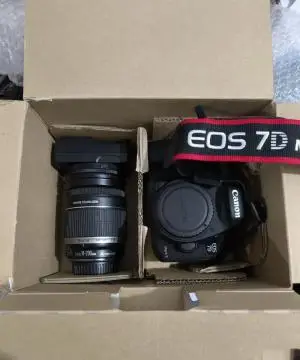 stock