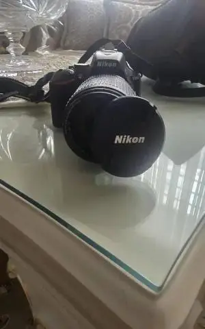stock