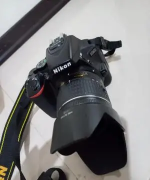 stock