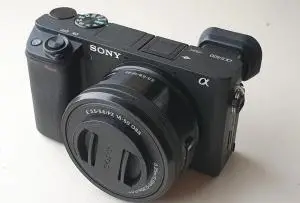 stock