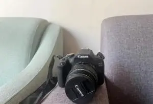 stock