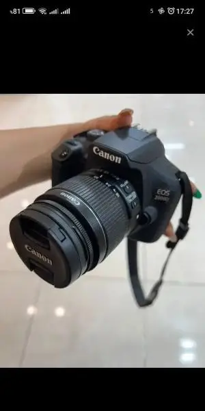 stock
