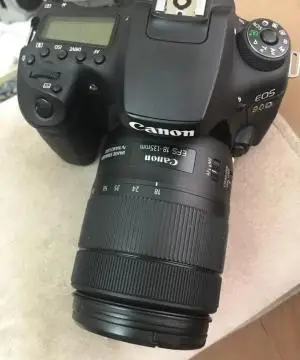 stock