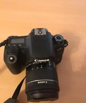stock