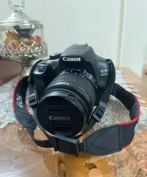 stock