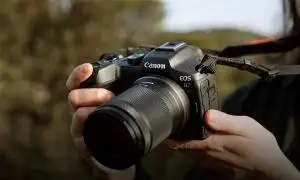 stock