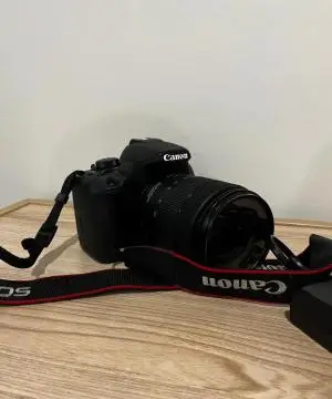 stock