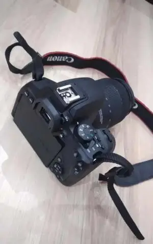 stock