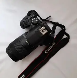 stock
