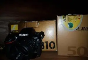stock