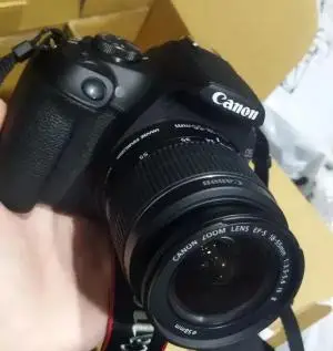 stock