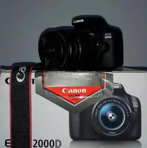 stock