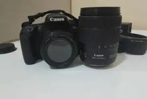 stock