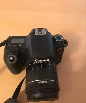 stock