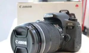 stock