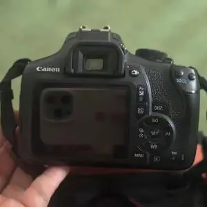 stock