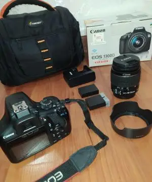 stock