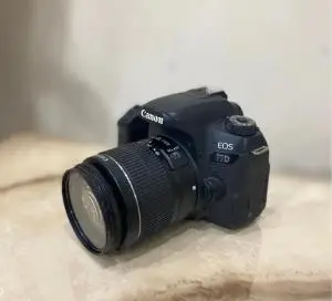 stock