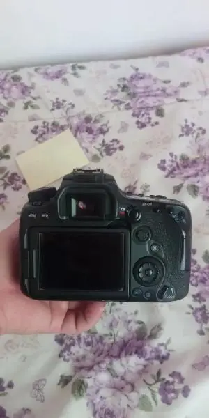 stock