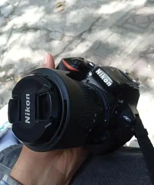stock