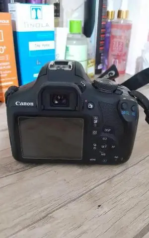 stock