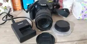 stock