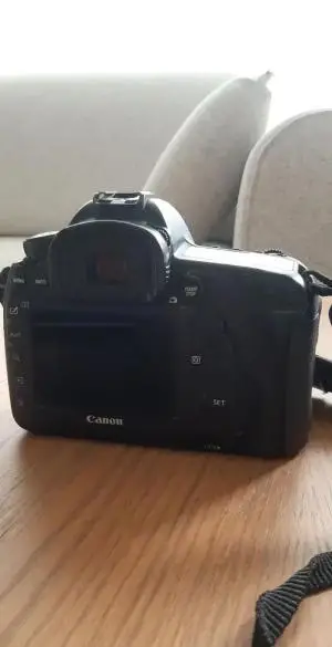 stock
