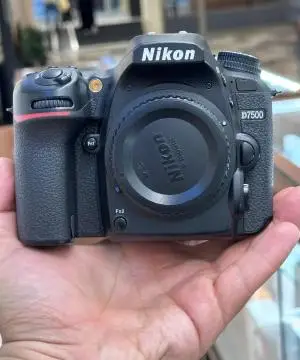 stock