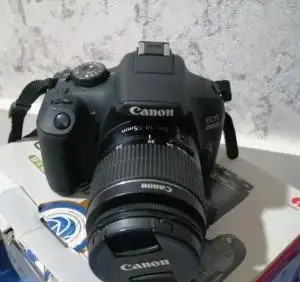 stock