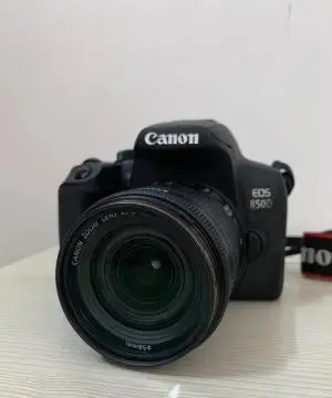 stock