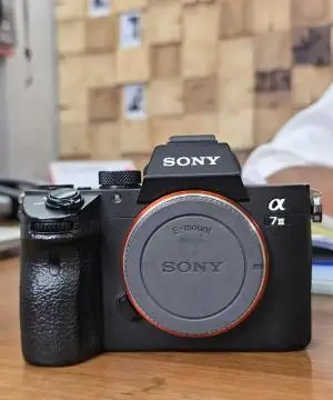 stock