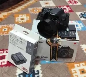 stock