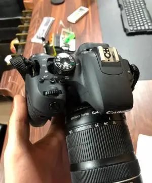 stock