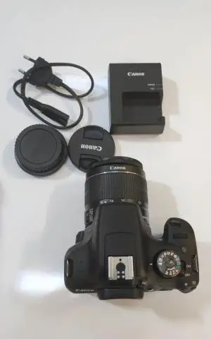 stock
