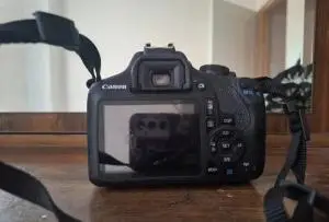 stock