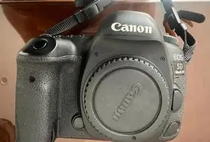 stock