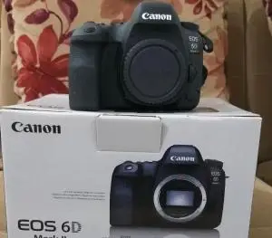 stock