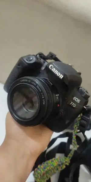 stock
