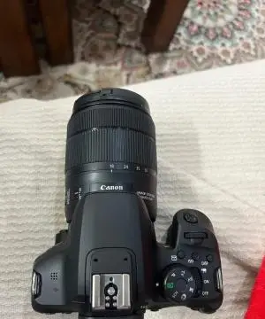 stock
