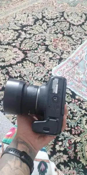 stock