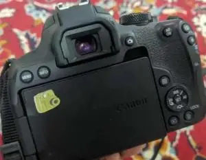 stock