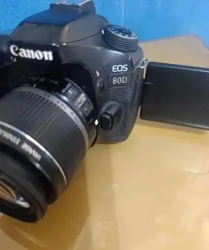stock