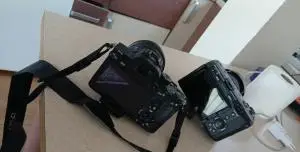 stock